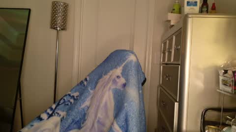 butterfly booty online show from 03.31.26