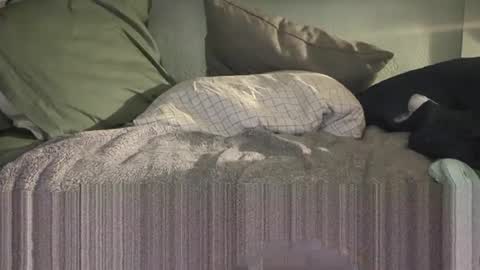 Snapshot of c4tf1sh chatting on 01.14.26 1DontR3member online show from 01.14.26