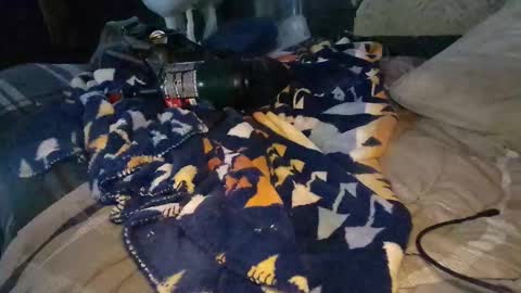 Snapshot of calisguitar chatting on 12.29.24 Calisguitar online show from 12.29.24