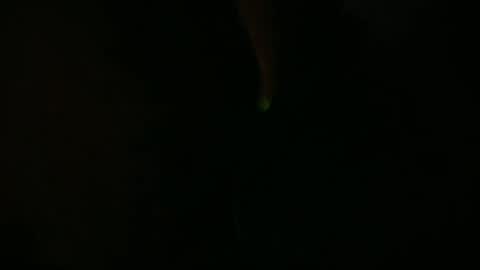 Snapshot of camaleon692021 chatting on 07.10.26 Charly online show from 07.10.26