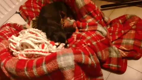 CamDoAttitude online show from 01.28.25