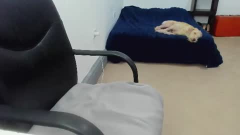 Cami online show from 07.10.26