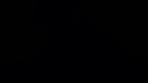 camilio96 online show from 12.27.24