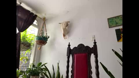  Camille   online show from 11.08.25