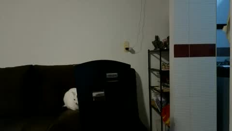 Camilo online show from 10.15.25