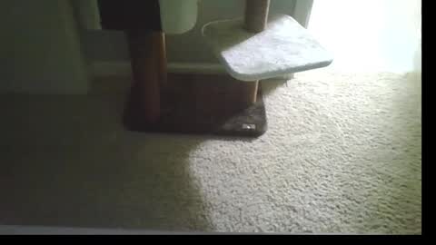 cammyman6900 online show from 09.21.25