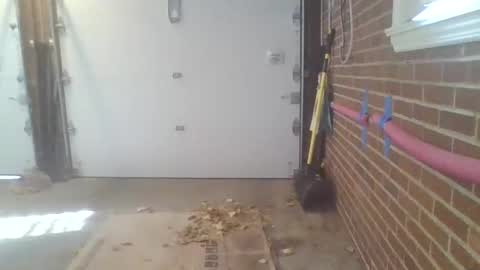 cammyman6900 online show from 11.13.25