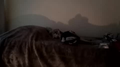 Camren online show from 10.07.25