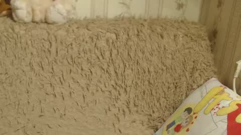 Snapshot of candylady13 chatting on 01.19.25 say meow and send tips online show from 01.19.25