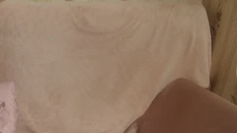 say meow and send tips  online show from 02.18.26