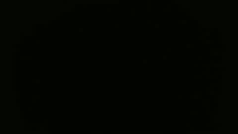 CanelaCollins online show from 02.19.26