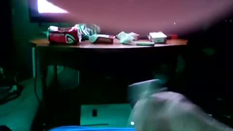 canigetatastearkansas online show from 08.04.26