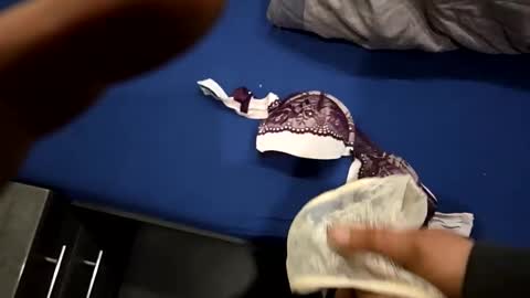 capoo24 online show from 10.28.25