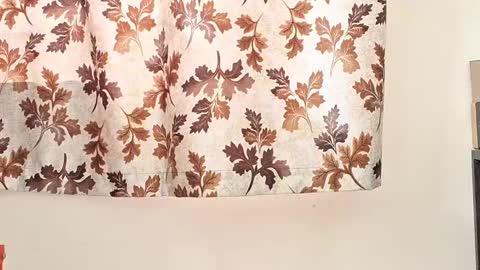 captian juicyprecum online show from 01.27.25