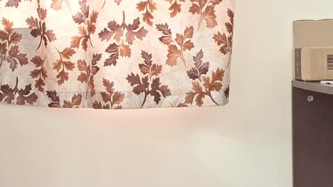 captian juicyprecum online show from 03.02.25