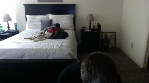 Snapshot of captmorgan30263 chatting on 02.26.25 captmorgan30263 online show from 02.26.25