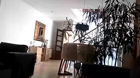 carlitito1 online show from 04.15.26