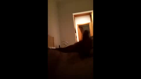 carlos1234500 online show from 01.16.26