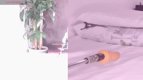 Carol online show from 04.26.26