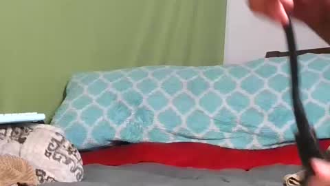 carolinayungin96 online show from 11.11.25