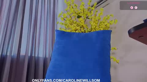  Caroline Willsom  online show from 01.18.26