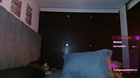 Carolinne online show from 02.27.25