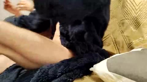 Snapshot of casal_301 chatting on 02.23.25 casal_301 online show from 02.23.25