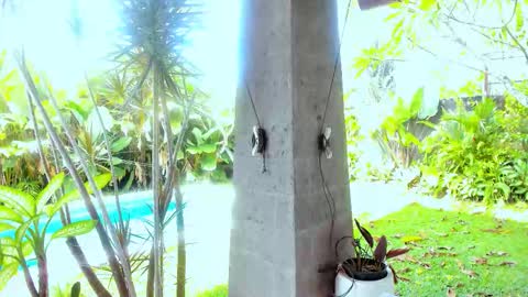 Snapshot of cassie_palmer chatting on 02.18.26 Hello my name is Cassie and my friend Nilo is also here online show from 02.18.26