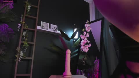 Snapshot of cassiecool chatting on 02.02.25 assie online show from 02.02.25