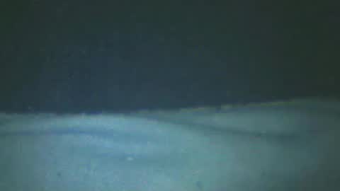 Snapshot of castells chatting on 02.20.25 castells online show from 02.20.25