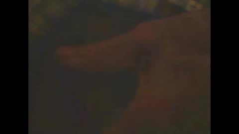 Snapshot of castells chatting on 02.23.25 castells online show from 02.23.25