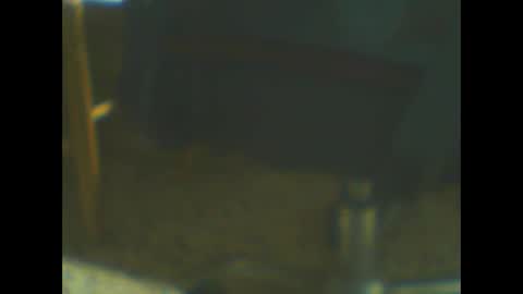 Snapshot of castells chatting on 10.20.25 castells online show from 10.20.25