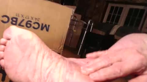 cat online show from 10.28.25