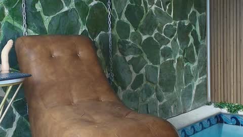 Dani   online show from 04.02.26