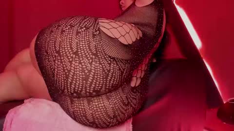 Cataleya online show from 12.04.24