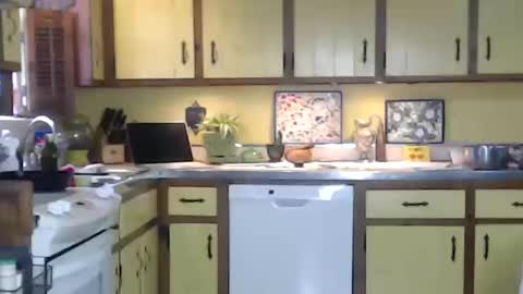 CATALYSTIC online show from 10.12.25