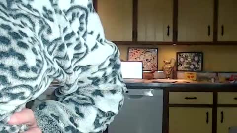 CATALYSTIC online show from 10.25.25