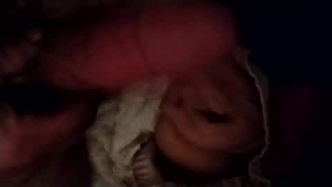 catdaddy179057 online show from 02.24.26