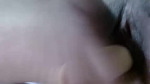 cattleya online show from 12.21.24