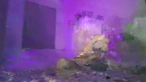 cazrus online show from 02.24.26