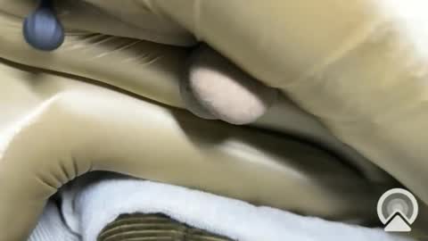 ccXora online show from 03.07.26