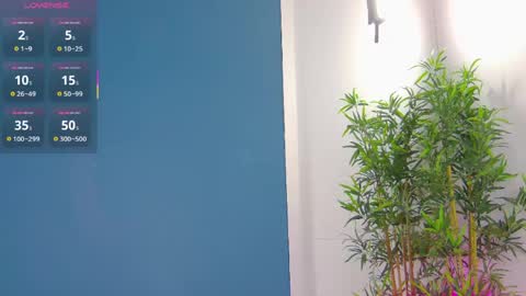 CelineMeyer online show from 05.25.26