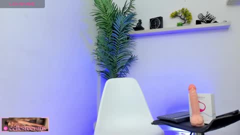 Celeste  online show from 01.25.25