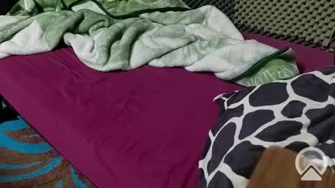 cezar online show from 02.23.25