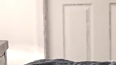 Snapshot of cfnmkinky28 chatting on 12.24.24 cfnmkinky28 online show from 12.24.24