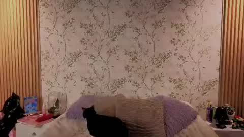 Snapshot of charlote__miller chatting on 07.14.26 You honey online show from 07.14.26