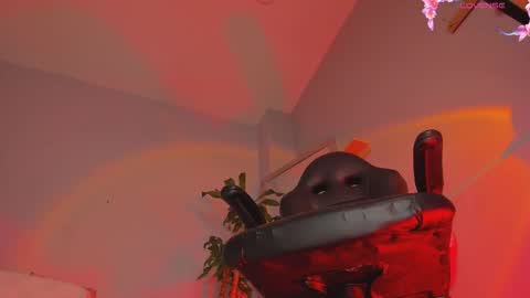 charlotte  grey online show from 03.23.26