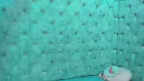 charlottestuart_ online show from 03.13.26