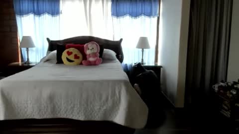 Charlotte online show from 02.12.26