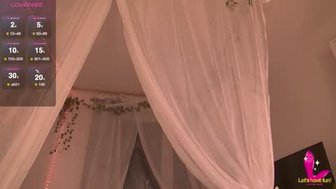 Charlotte online show from 11.20.25